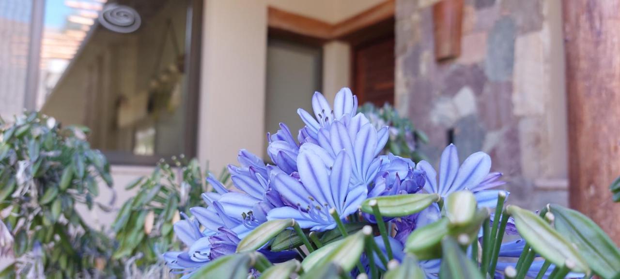 Hotel Tulmas ティルカラ エクステリア 写真
